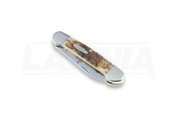 Case Cutlery Canoe Amber Bone Pocket Knife 00263 10 Case Cutlery Canoe Amber Bone Pocket Knife 00263 -Outdoor Tool and Knife Shop 2322 CA00263 03