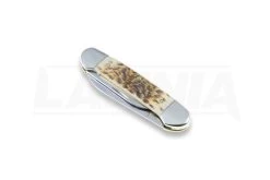 Case Cutlery Canoe Amber Bone Pocket Knife 00263 11 Case Cutlery Canoe Amber Bone Pocket Knife 00263 -Outdoor Tool and Knife Shop 2322 CA00263 04